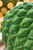 8.5" Green Flocked Pinecone Ornament - Close-Up