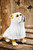 9" Bulldog Ghost Tabletop Halloween Figure