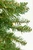 9' Telluride Pine Christmas Tree with 700 Warm White LED Lights - Tree Tips