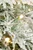 9' Flocked Christmas Tree with 500 Warm White LED Lights - Tree Lights