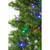 Zoomed In View of Pine Needles with Multi Lights