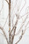 35" Snowy Branch Spray - Close-Up