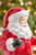12" Resin Santa with Deer - Santa Detail