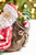 6.75" x 13" Resin Santa & Napping Dog - Bag Detail