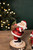 Jolly Santa with Gift Sack - Bag