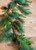 5’ Woodland Mix Pine Cone Garland