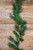 5’ Woodland Mix Pinecone Garland