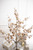 Crabapple Christmas Spray - Iced Gold
