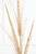 34” Champagne Glitter Triple Spike Grass Spray
Close Up