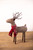 18” Fabric Reindeer with Scarf