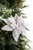 Taupe Sugar Frosted Poinsettia Stem