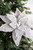 Frosted Christmas Poinsettia Taupe