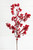 30” Red Snow Berry Christmas Spray