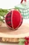 4” Red and Black Buffalo Check Ball Christmas Ornaments