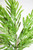 30” Iced Garden Norfolk Pine Branch Christmas Tree Sprays Up Right Close Up 1