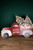 33.4” Wood Snowman in Red Truck with Easel