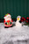 Dolomite Penguin & Santa Salt & Pepper Shakers in Window Box