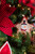 9.5" Plush Plaid Country Christmas Ornament