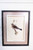 15" x 20" Framed Bird Print with Glass