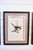 15" x 20" Framed Bird Print with Glass