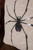16” Sequin Spider Halloween Pillow Tan