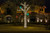 5mm 70L 4" Spacing - Warm White on a tree