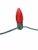 C9 Socket Cord With Red Bulb Inserted