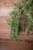 56” PE Bonzai Pine Hanging Cardinal Christmas Spray