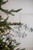 29” Glitter Mini Lotus Christmas Tree Spray