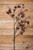 46” Pinecone Branch Spray