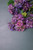 33” Snowball Hydrangea Branch - Purple