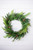 24” Just Cut Plastic Woodland Pines Cedar Wreath