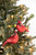 4” Glass Glitzy Cardinal Ornament