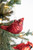 5” Glass Cardinal Ornament, Facing Left