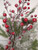 19” Frosted Tree W/ Berries