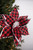 22” Red and Black Plaid Poinsettia Stem with Frosted Edge Cardinal Christmas Flowers