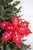 22” Red and White Poinsettia Stem with Red Berries