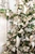 Natural Elegance Bundle