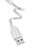 USB Connector