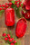 5” Red Acrylic Rectangle Precious Gem Ornament