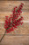 26” Red Pyrocantha Berry Spray Flat Lay
