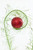 31” Green & Red Glitter Curled Grass Ball Spray Close Up