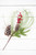 Spray with Pinecones and Red Berries