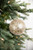 4” Champagne Clear Swirl Iced Ball Ornament