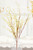 21" Wildflower Spray
White