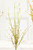 21" Wildflower Spray
Green