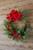 30” Christmas red Poinsettia Amaryllis/Pine Wreath