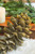 8” Gold Glitter Tipped Faux Sequoia Pinecone with Hanging Wire