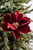 Burgundy Magnolia Stem