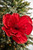 22” Red Velvet Magnolia Flower Stem